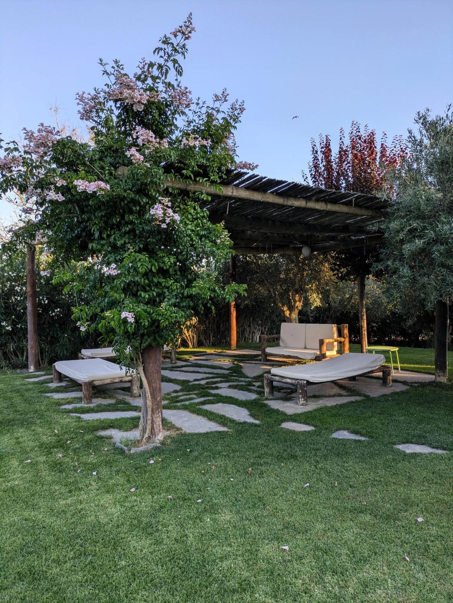 Casas De Juromenha Guest House Exterior photo